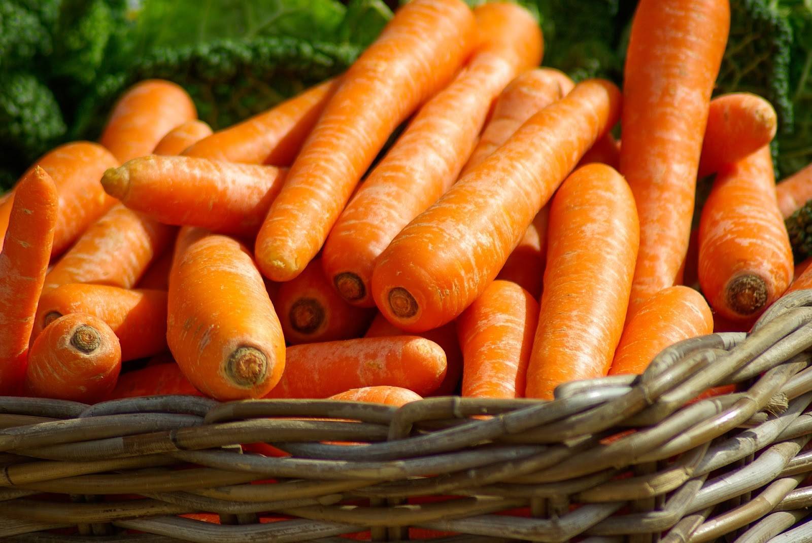 Морковь наполи f1 — описание сорта, фото, отзывы, посадка и уход