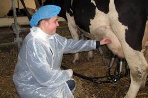 Доильный аппарат для коров: обзор, описание, характеристики, отзывы