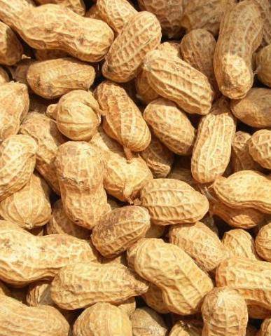 Какой арахис полезнее жареный или сырой | польза и вред