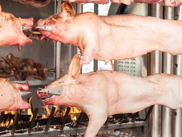 Разделка туши свиньи: правила, схемы, классическая технология, выход чистого мяса