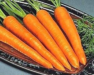 Морковь Император