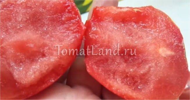 Клуша: популярный ранний сорт томатов