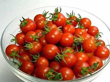 Выращиваем помидоры черри, сорта и уход