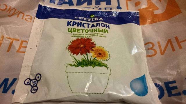 Цитрусовые: описание,удобрение,подкормка.