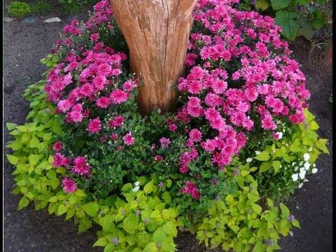 Клумбы своими руками из подручных материалов: 100 фото