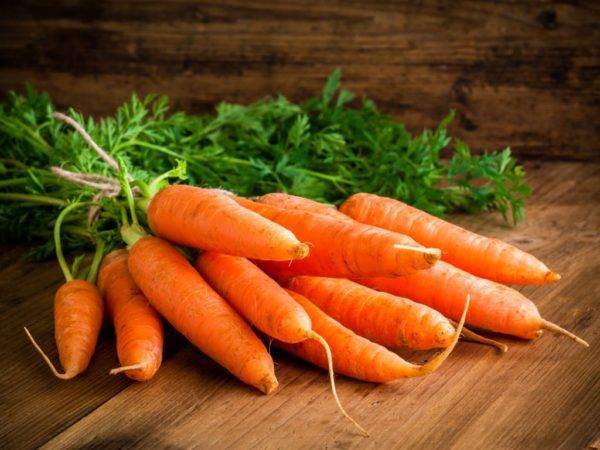 Лучшая морковь для посадки в Ленинградской области
