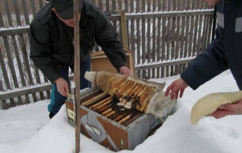 Мероприятия по подготовке пчел к зимовке