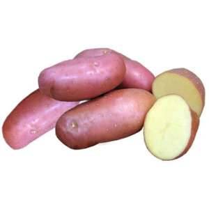 Сорт картофеля «ароза» – описание и фото