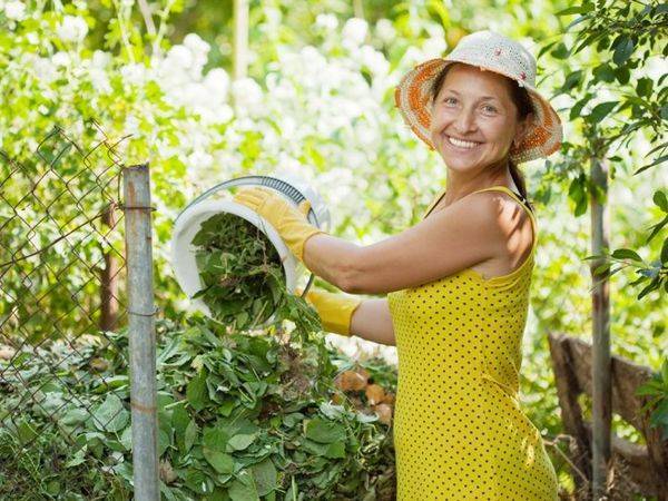 Крапива: 5 способов применения в саду и огороде