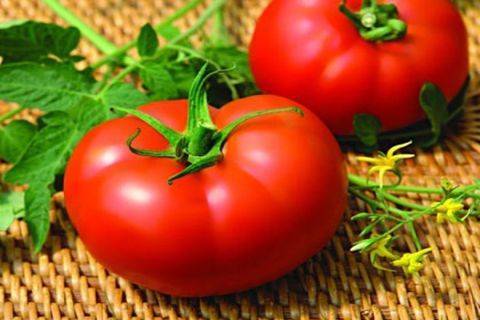 Описание томатов аттия f1 и махитос, агилис и других сортов
