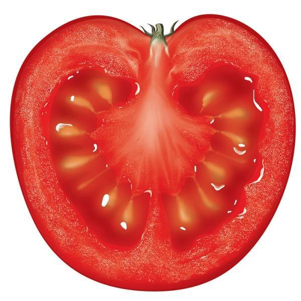 «мишка косолапый» — высокоурожайный сорт помидор