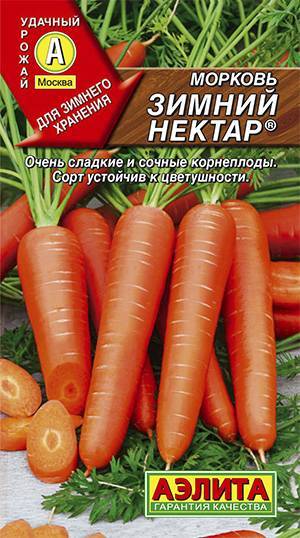 Морковь зимний нектар: описание, фото, отзывы