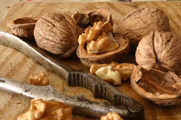 Польза от скорлупы грецких орехов для здоровья
