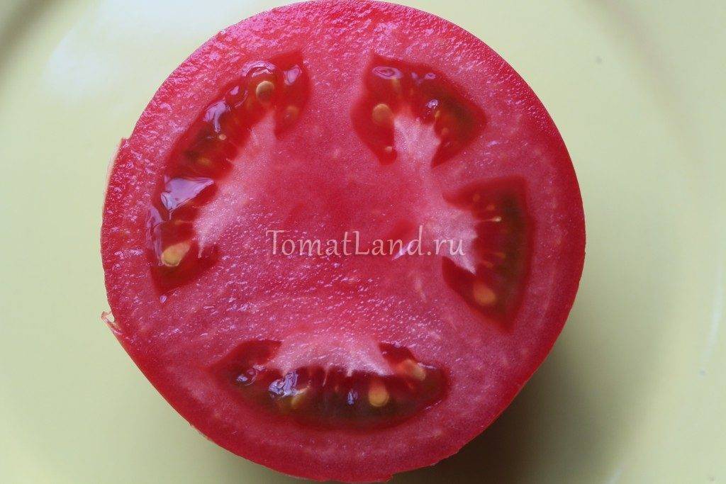 Описание и характеристики томата сорта пинк парадайз f1, урожайность и выращивание