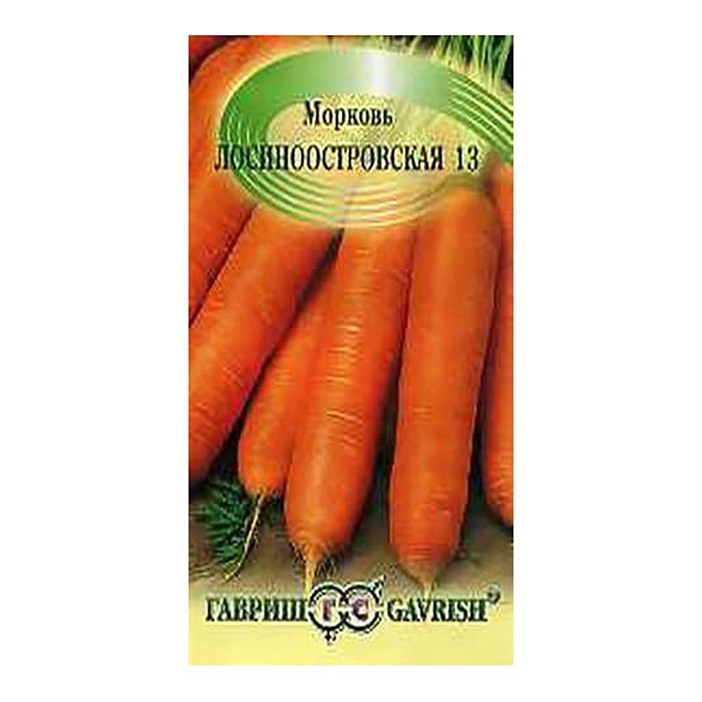 Сорт моркови лосиноостровская — описание и правила выращивания