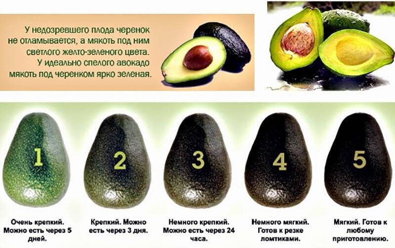 Как выбрать спелое авокадо в супермаркете