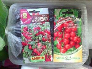 Томат "клюква в сахаре": описание, характеристики, рекомендации по выращиванию на подоконнике, фотографии помидор