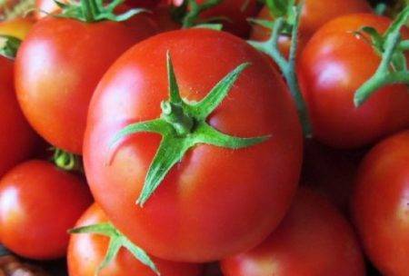 Среди многообразия сортов томатов «сибирский скороспелый» пользуется большой популярностью