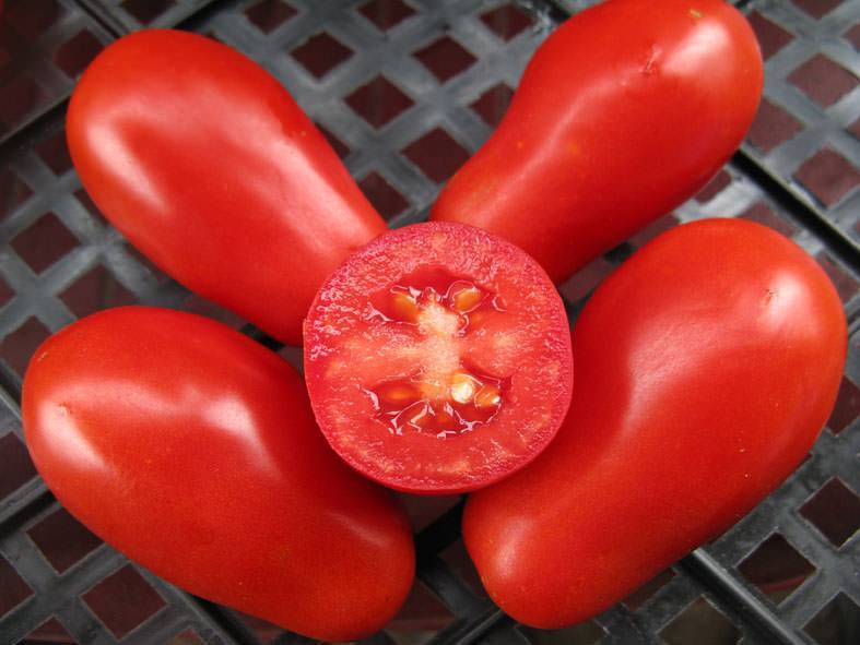 Московский деликатес: особенности группы томатов, урожайность, описание агротехники, отзывы