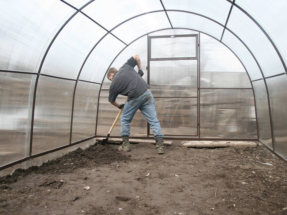 Обработка почвы медным купоросом весной под помидоры: 2 варианта проведения работ