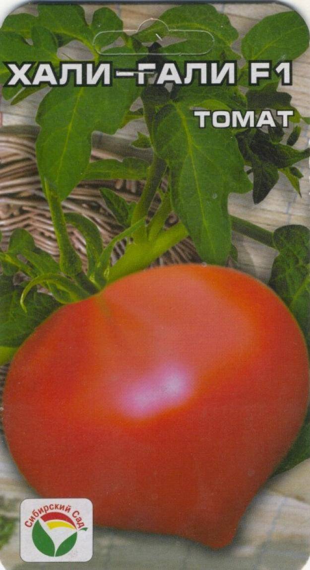 Сорт помидор «хали-гали» f1: описание и уход
