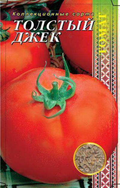 Помидоры толстый джек: детальное описание, способ выращивания и отзывы о томате
