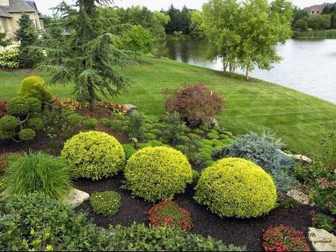 Рододендроны в ландшафтном дизайне, схемы посадки и лучшие соседи в саду, фото
