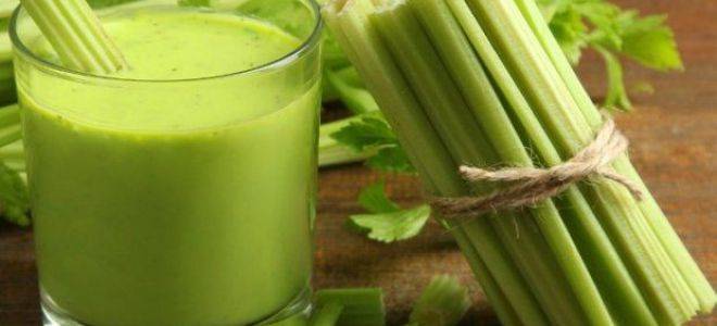 Полезные свойства и противопоказания сока сельдерея, рецепт супа, салата из сельдерея для похудения