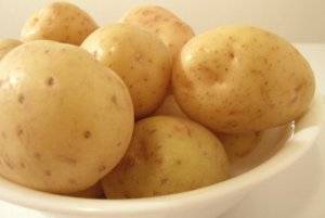 Описание высокоурожайного сорта картофеля «голландка»