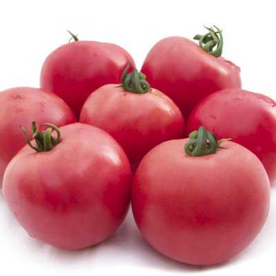 Выращивание томата малиновый звон