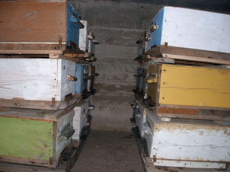 Способы зимовки пчел в помещениях и на воле