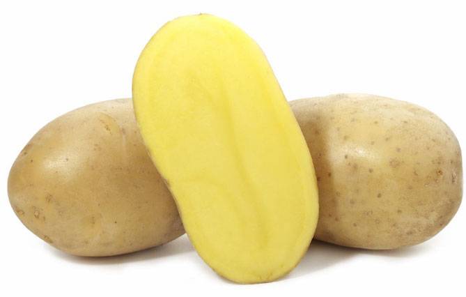 Картофель "вега: описание сорта, основные характеристики, фото