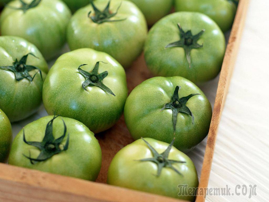 Где и как хранить зеленые помидоры, чтобы они покраснели как можно быстрее и как сохранить надолго спелые плоды