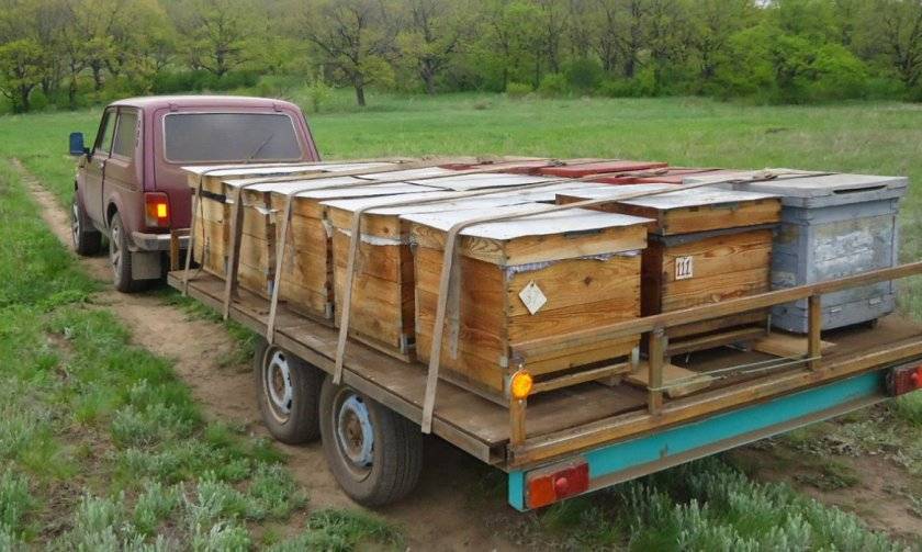 Самодельные прицепы для перевозки пчел
