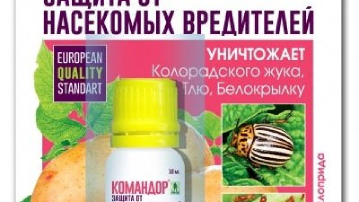 Монарх от колорадского жука инструкция. Командор от колорадского жука. Командор 10мл (от колорад жука,от тли). Инсектицид Командор 10 мл. Обработка картофеля перед посадкой от колорадского жука Командор.