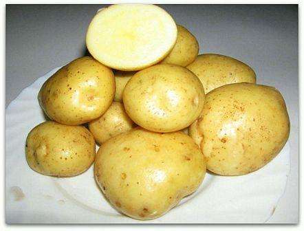 Описание картофеля инара