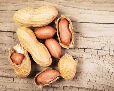 Сырой арахис: польза и вред для здоровья