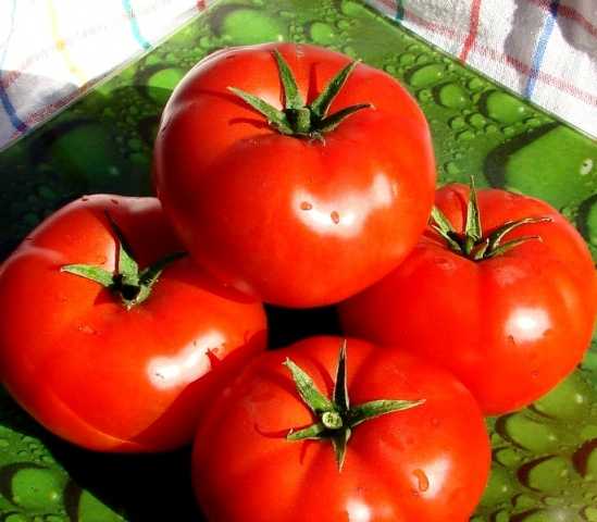 Характеристика и описание томата «сибирский козырь»