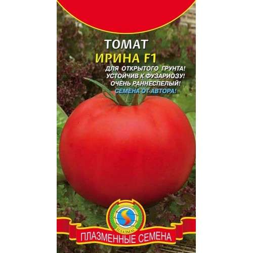 Высокоурожайные томаты для занятых людей «иришка f1»: описание сорта и его основные характеристики