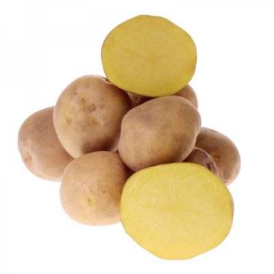 Картофель лапоть: описание сорта, фото, болезни и вредители