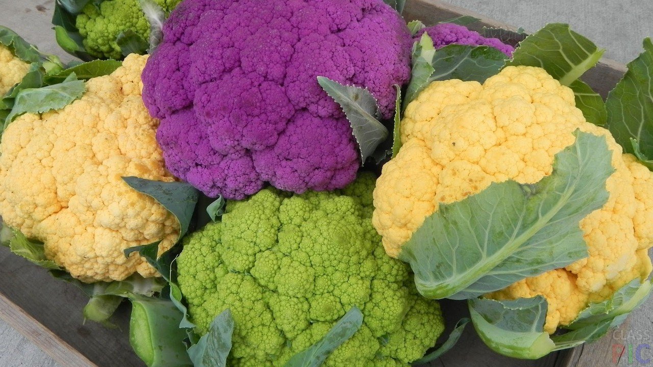 Польза и вред цветной капусты для здоровья | польза и вред