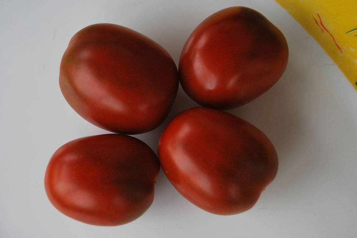 Гроздья помидоров в любой сезон: урожайный и вкусный томат де барао