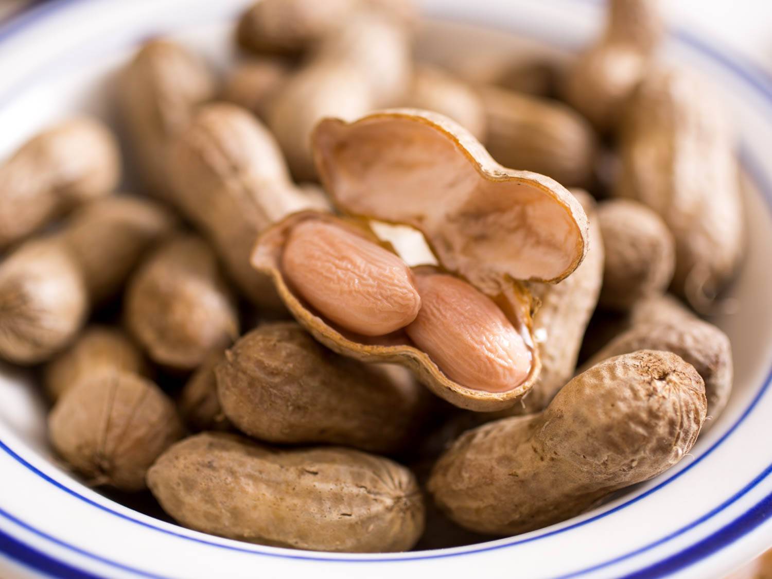 Жареный арахис польза и вред для женщин мужчин беременных свойства
