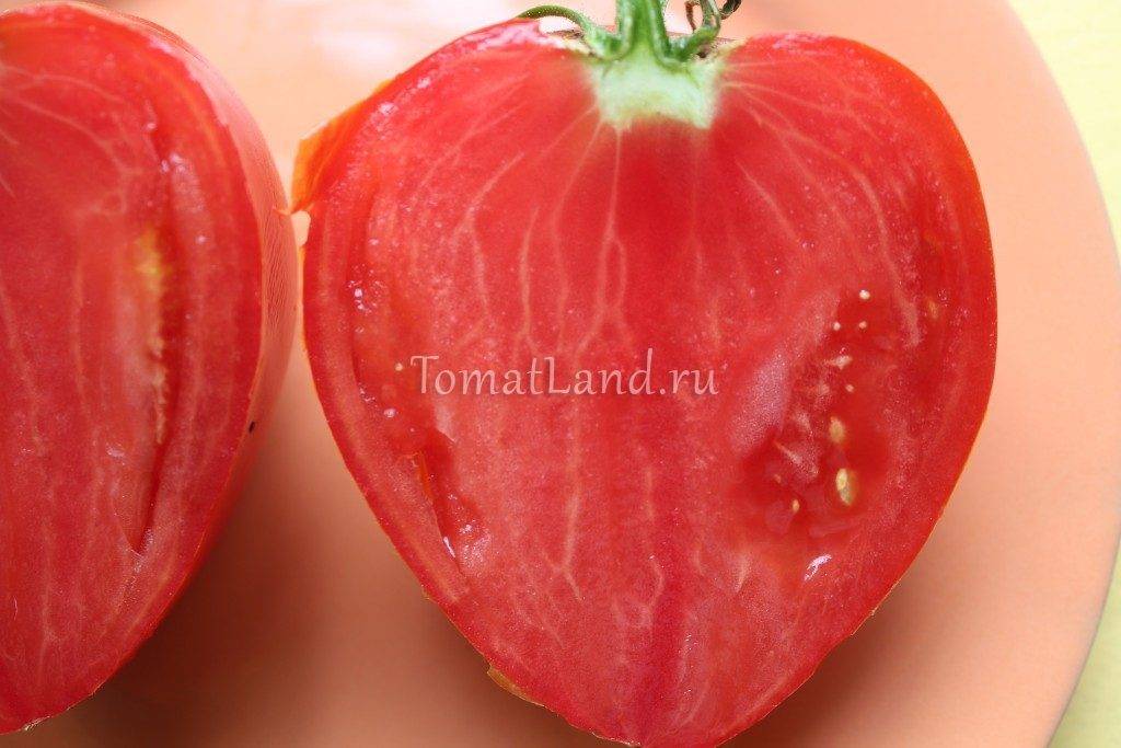 Томат "микадо красный": описание помидора с устойчивым иммунитетом и отличными вкусовыми качествами