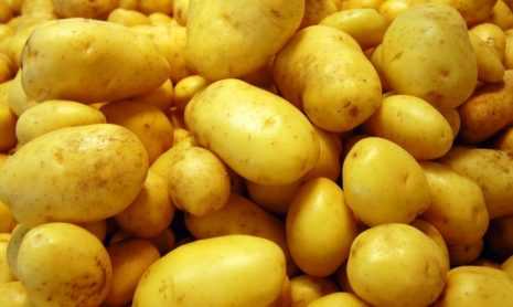 Описание картофеля зекура