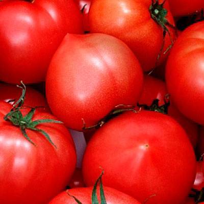 Хали-гали — томат задорной формы с вкусным содержимым