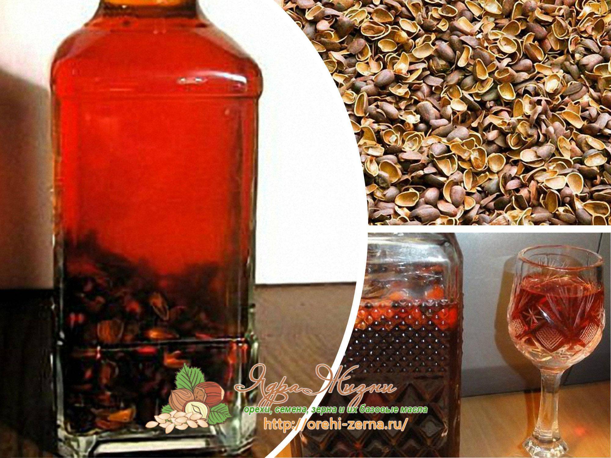 Настойка на кедровых орехах: полезные и лечебные свойства, противопоказания