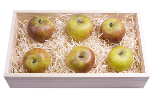 Как сохранить яблоки свежими дома до нового урожая
