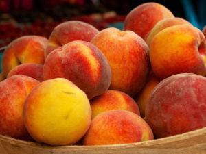Осенняя обрезка персикового дерева: цели, задачи и технологии