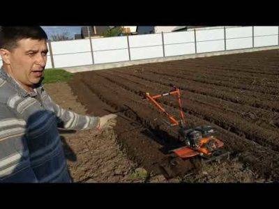 Выращивание картофеля гребневым способом: советы овощеводов